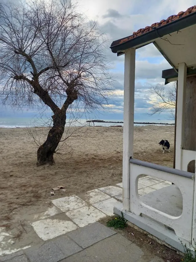 Apartment Bilocale Climatizzato A 850M Dalla Spiaggia Casa Katia Marina di Massa
